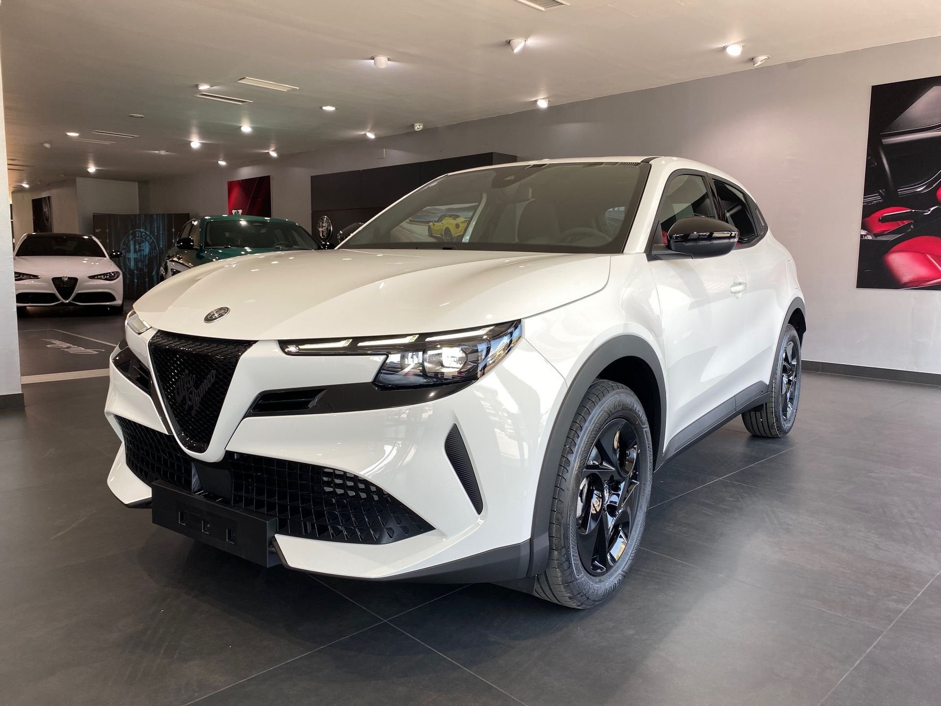 Copertura In Acciaio Con Bandiera Italiana Per Alfa Romeo Junior – 1 Pezzo Inox Effetto Tuning, Facile Da Montare