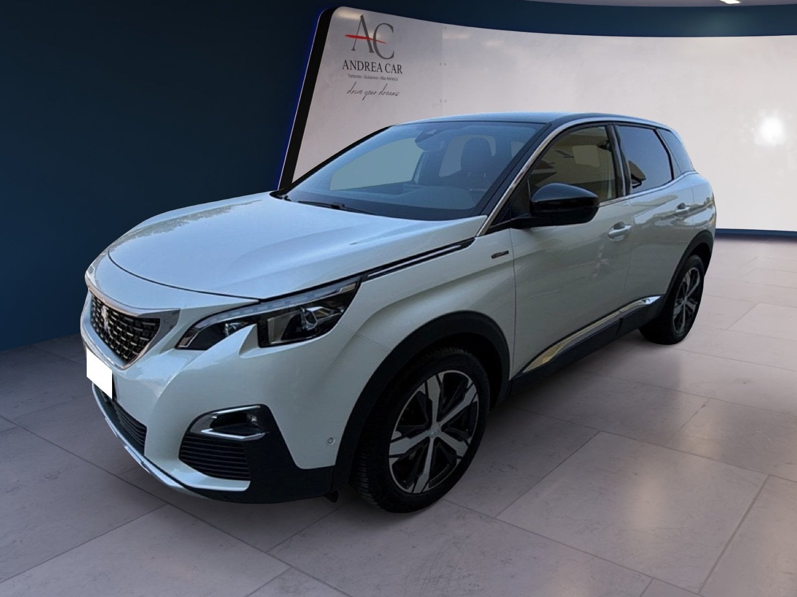 Auto Usate A Teramo | Peugeot 3008 3008 1.6 Bluehdi Gt Line S&S 120Cv
