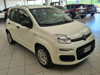 Auto Fiat Panda 1.2 Usate A Parma