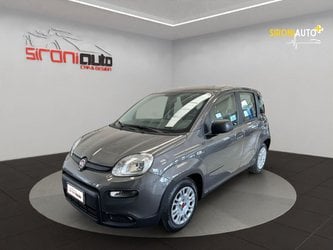 Auto Usate A Lecco | Fiat Panda Panda 1.0 Firefly Hybrid S&S 70Cv 5P.ti - Promo Sironiauto+