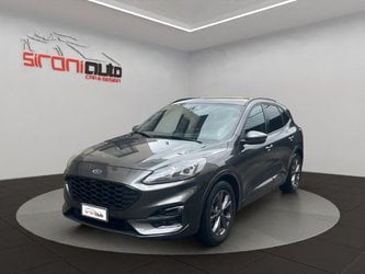 Auto Usate A Lecco | Ford Kuga Kuga 2.0 Ecoblue St-Line 2Wd 120Cv Auto