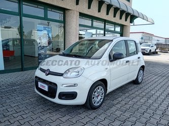 Auto Fiat Panda My21 1.0 70Cv Hybrid Panda Usate A Padova