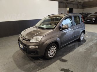 Fiat Panda 1.2 Lounge Usate A Milano