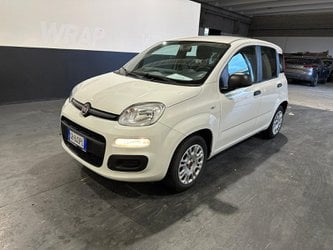 Fiat Panda 1.2 Easy Usate A Milano