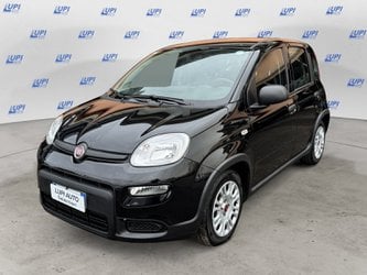 Auto Usate A Pistoia | Fiat Panda 1.0 Firefly Hybrid S&S 70Cv 5P.ti