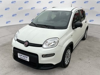 Auto Usate A Pistoia | Fiat Panda 1.0 Firefly Hybrid S&S 70Cv 5P.ti