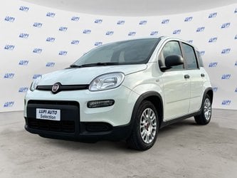 Auto Usate A Lucca | Fiat Panda 1.0 Firefly Hybrid S&S 70Cv 5P.ti