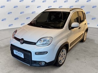 Auto Usate A Pistoia | Fiat Panda 1.0 Firefly Hybrid City Life S&S 70Cv 5P.ti