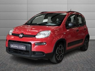 Auto Usate A Roma | Fiat Panda 1.0 Firefly 70Cv S&S Hybrid City Life