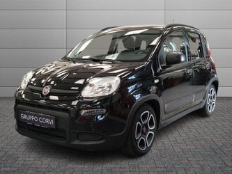 Auto Usate A Roma | Fiat Panda 1.0 Firefly 70Cv S&S Hybrid City Cross
