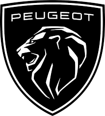 Auto Peugeot 206 Plus Plus 1.1 60Cv 3P. Urban Eco Gpl Consuma Olio Motore 338.7575187 Massari Marco Usate A Reggio Emilia