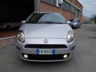 Auto Fiat Punto 1.3 Mjt Ii S&S 95 Cv 5 Porte 338.7575187 Massari Marco Usate A Reggio Emilia