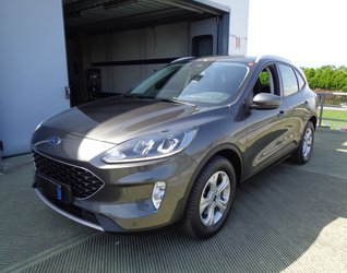 Auto Ford Kuga 1.5 Ecoblue 120 Cv 2Wd Connect Usate A Treviso