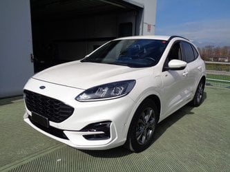 Auto Ford Kuga 2.5 Plug In Hybrid 225 Cv Cvt 2Wd St-Line Usate A Treviso