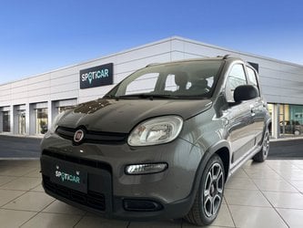Auto Fiat Panda 1.0 Firefly S&S Hybrid City Life Usate A Bologna