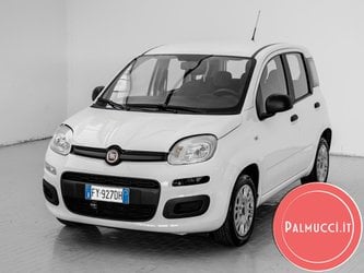 Auto Fiat Panda 1.2 Easy Usate A Prato