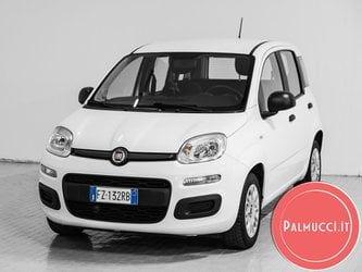 Fiat Panda 1.2 Easy Usate A Prato