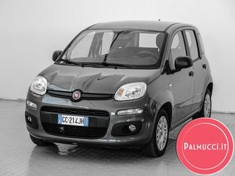 Auto Fiat Panda 1.2 Easy Usate A Prato