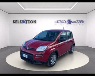 Km0 A Ancona | Fiat Panda My24 1.0 70Cv Hybrid Panda