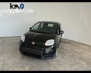 Auto Km0 A Ancona | Fiat Panda Serie 7 1.0 70Cv Hybridpanda