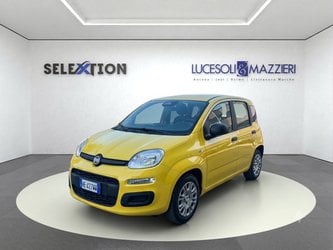 Auto Usate A Ancona | Fiat Pandina 1.0 Firefly 65 Cv Hybrid Pop