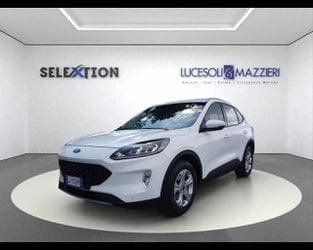 Auto Usate A Ancona | Ford Kuga 3ª Serie 1.5 Ecoblue 120 Cv 2Wd Connect