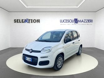 Auto Usate A Ancona | Fiat Pandina 1.0 Firefly 65 Cv Hybrid Icon