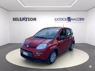 Auto Usate A Ancona | Fiat Panda 1.0 Firefly S&S Hybrid