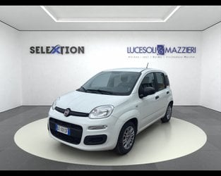 Auto Usate A Ancona | Fiat Panda 1.0 Firefly S&S Hybrid