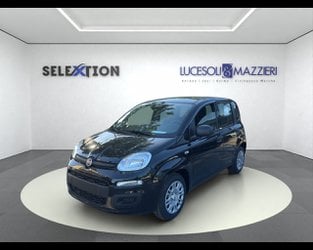 Auto Km0 A Ancona | Fiat Pandina My26 1.0 65Cv Hybrid Pop