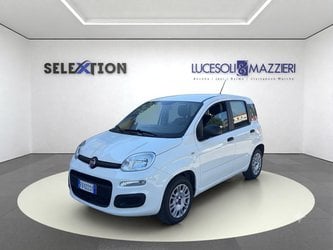 Auto Usate A Ancona | Fiat Panda 1.2 Easy