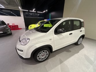 Fiat Panda 1.0 Firefly S&S Hybrid Km0 A Macerata