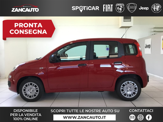 Auto Nuove FIAT Panda7cpanda Cross in vendita presso Zancauto