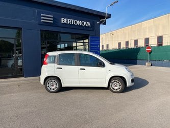 Fiat Panda 1.2 Easypower Easy Usate A Vicenza