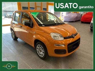 Auto Fiat Panda 1.2 69Cv Easy Usate A Cremona