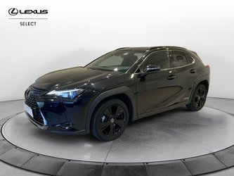 Auto Lexus Ux Mid My21 2Wd Usate A Varese