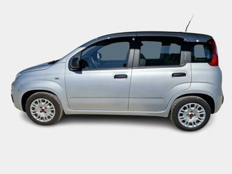 Fiat Panda 1.3 Mjt 95Cv S&S E6 Easy 5 Porte Usate A Pordenone