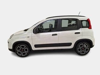 Auto Fiat Panda 1.0 70Cv S&S Hybrid City Life 5 Porte Usate A Pordenone