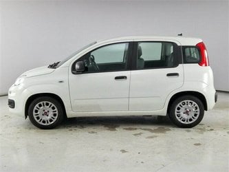 Auto Fiat Panda 1.0 70Cv S&S Hybrid 5 Porte Usate A Pordenone