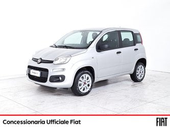 Auto Fiat Panda 0.9 T.air T. Natural Power Easy 80Cv Usate A Treviso