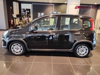 Auto Usate A Salerno | Fiat Panda 1.0 70Cv Hybrid Panda