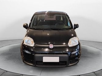 Auto Usate A Avellino | Fiat Panda 1.0 70Cv Hybrid Panda