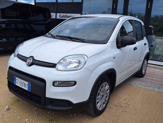 Auto Usate A Avellino | Fiat Panda My24 1.0 70Cv Hybrid Panda