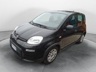 Auto Usate A Avellino | Fiat Panda 1.0 70Cv Hybrid Panda