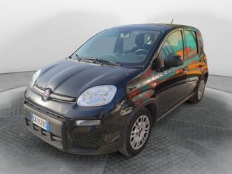 Auto Usate A Avellino | Fiat Panda 1.0 70Cv Hybrid Panda
