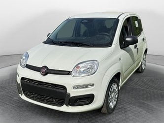 Auto Km0 A Avellino | Fiat Pandina 1.0 65Cv Hybrid Icon
