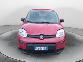Auto Usate A Avellino | Fiat Panda 1.0 70Cv Hybrid Panda