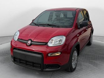 Usate A Salerno | Fiat Panda 1.0 70Cv Hybrid Panda