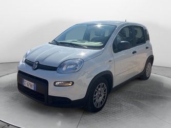 Usate A Avellino | Fiat Panda My24 1.0 70Cv Hybrid Panda