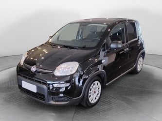 Auto Usate A Salerno | Fiat Panda 1.0 70Cv Hybrid Panda